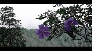 Puisi Jangan Lemah | Khoirul Triann | by Yitma Siwi Pusposari