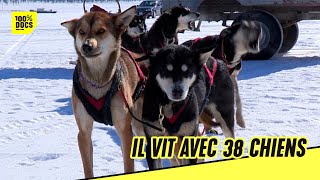 Il vit et gagne sa vie avec ses 38 chiens !