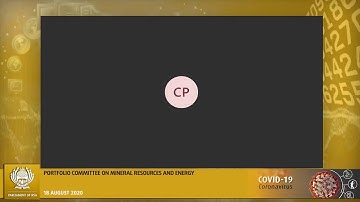 Portfolio Committee on Mineral Resources and Energy, 18 August 2020