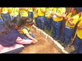 Farming by toddlers  royal english medium school