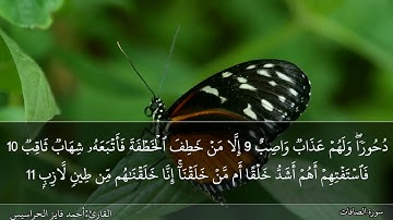 الصفحة 446 سورة الصافات بصوت القارئ المهندس أحمد فايز الحراسيس