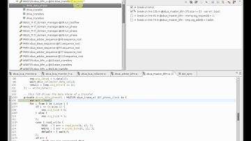 Demo Movie: DVT and Specman Debugger Integration (En)