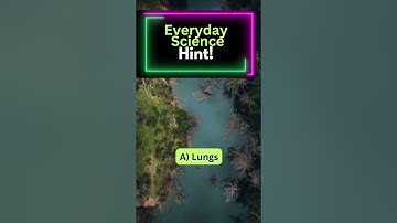 1. Mastering Everyday Science | MCQs for CSS MPT Exam Preparation #mpt #shorts  #youtubeshorts