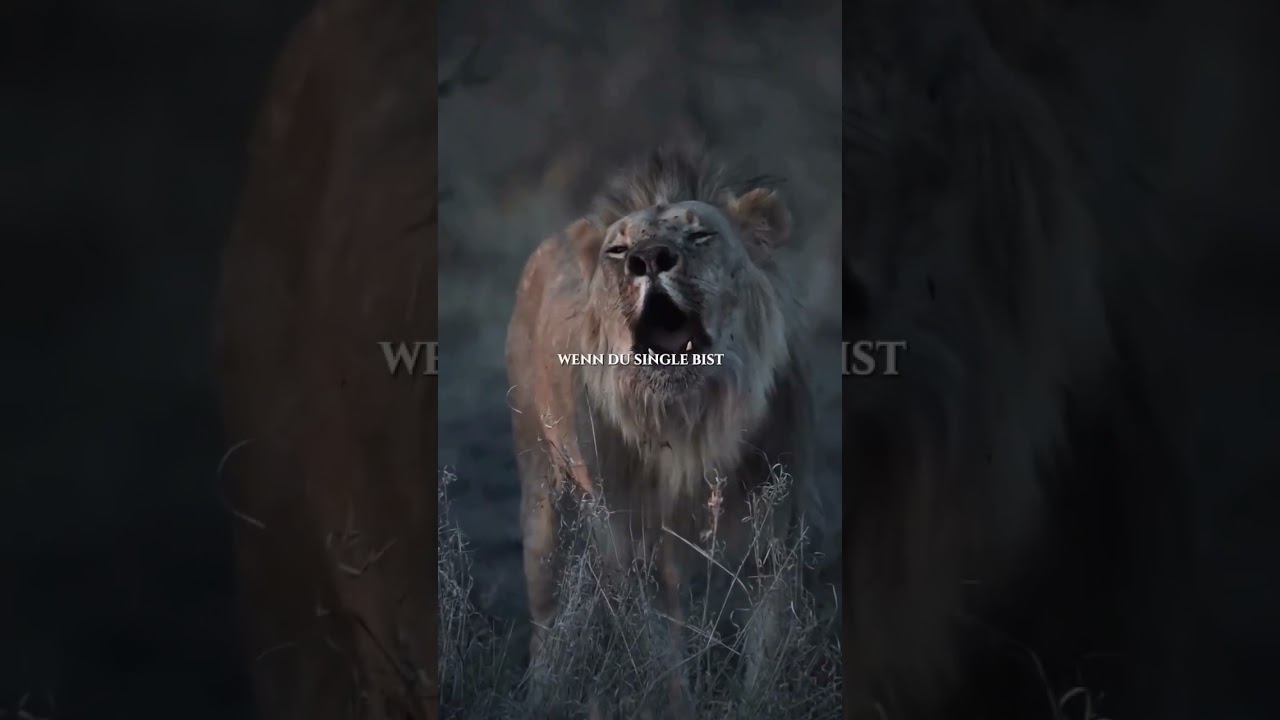 Motivational video #mindset #zitate #leben #erfolg #shorts