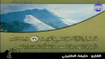 تلاوة للقارئ : خليفة الطنيجي | من سورة فصلت | قناة المجد للقرآن
