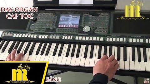 Học Đàn Organ Cấp Tốc TPHCM - NIỆM KHÚC CUỐI - Trung Tâm Nhạc Rừng