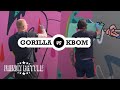 Friendly battle 011  gorilla vs kbom