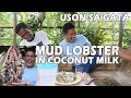 GINATAANG USON | MUD LOBSTER IN COCONUT MILK