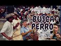 Busca perro Miguel Beltrán análisis de cómo va la percusión folclórica
