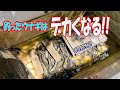 ウナギ１００匹その後どうなった⁉　【うなぎ飼育】