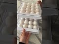 Gaveteiro organizador de geladeira 🥚