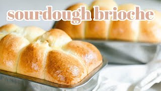 Sourdough Brioche Recipe