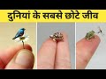 Duniya ke sabse chhote janwar | Smallest creatures of the world | Fact Decoded | RF-8