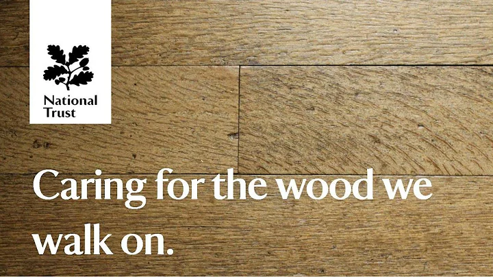 Conservation in action - Caring for the wood we walk on
