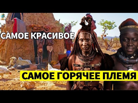 Нет Воды – Не Проблема: Шокирующие Дымовые Ванны и С3КСУАЛЬНАЯ СВ*БОДА Женщин Химба