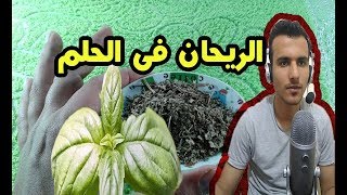 هل تعلم ماذا يدل رؤية الريحان فى الحلم !! الريحان فى المنام عجائب