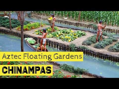 Ancient Aztec floating gardens that fed 200 000 destroyed by Spanish in 1519 called Chinampas