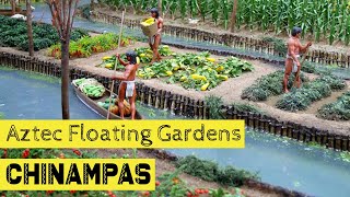 Ancient Aztec floating gardens that fed 200 000 destroyed by Spanish in 1519 called Chinampas