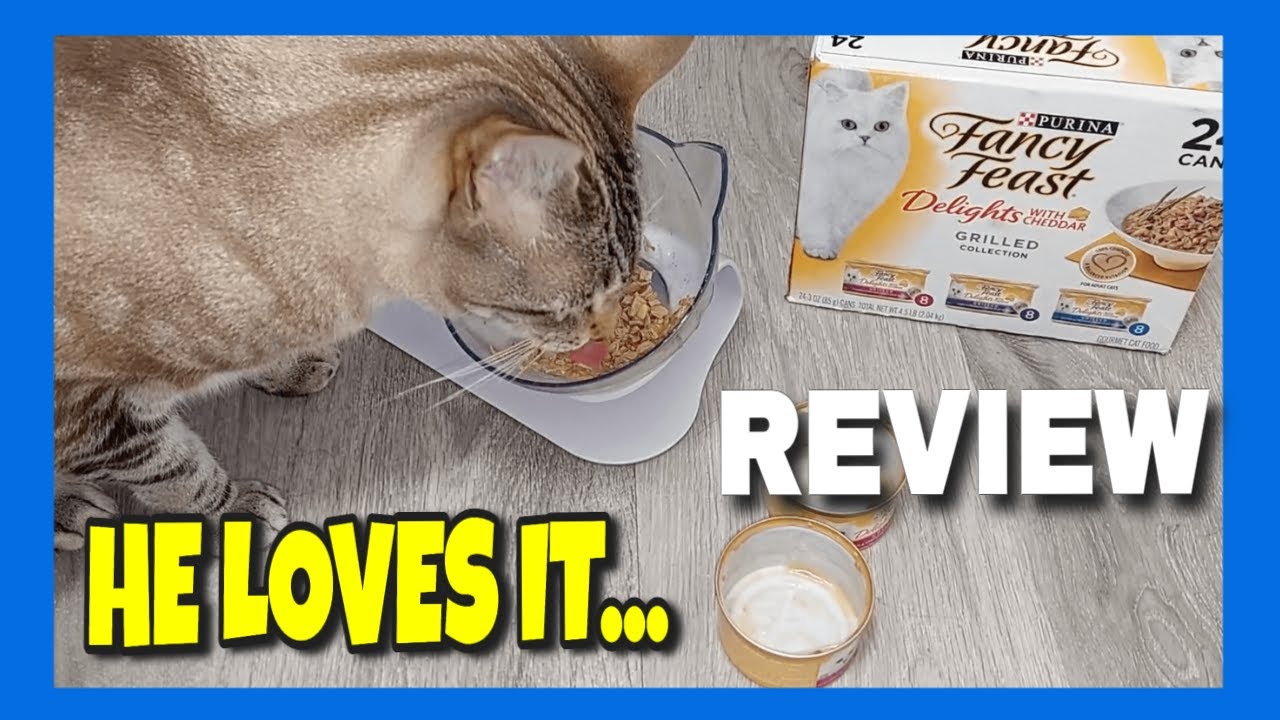 Purina Fancy Feast Gravy Wet Cat Food Review YouTube
