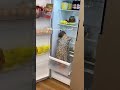 كربوجه كربوجه