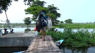 Dikira Sudah Habis lama ditinggal Pemancing! Ternyata Makin Edan dan Kelaparan