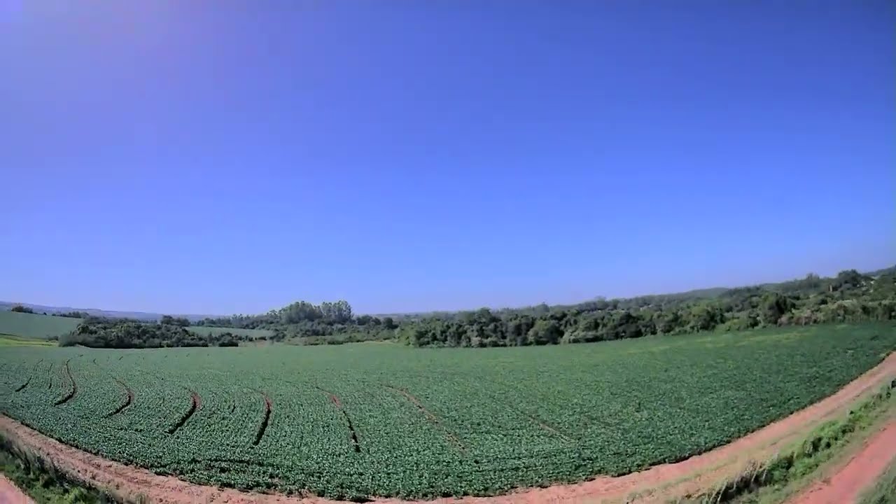 Dladrc tiny wing 450 v2 hd