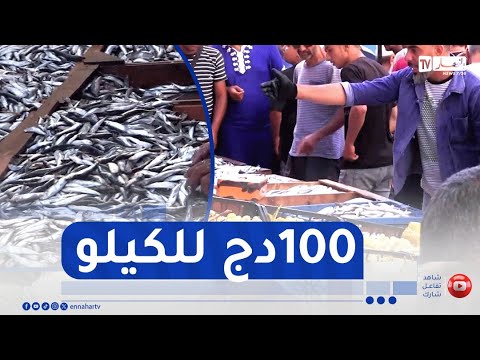 الشلف وفرة السردين تنعش الأسواق وتكبح جنون الأسعار
