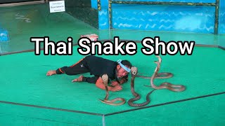 Dangerous Snake Show in Pattaya, Thailand