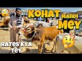 Kohat mandi mey rates kya tey 2024  kohat cow mandi rates 2024