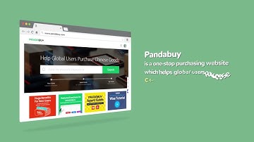 Pandabuy Agent Beginner