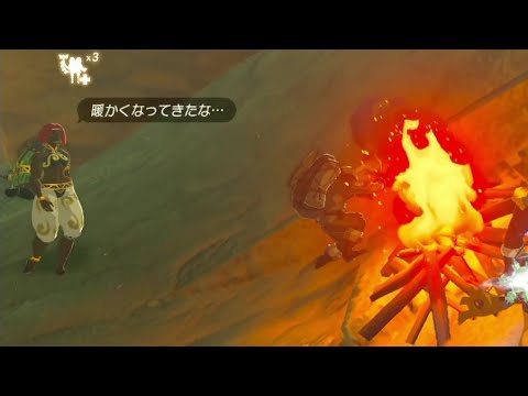 【ブレワイ(BotW)】依頼を受けて、ＮＰＣを横倒しにしたかった【ドリカラ】