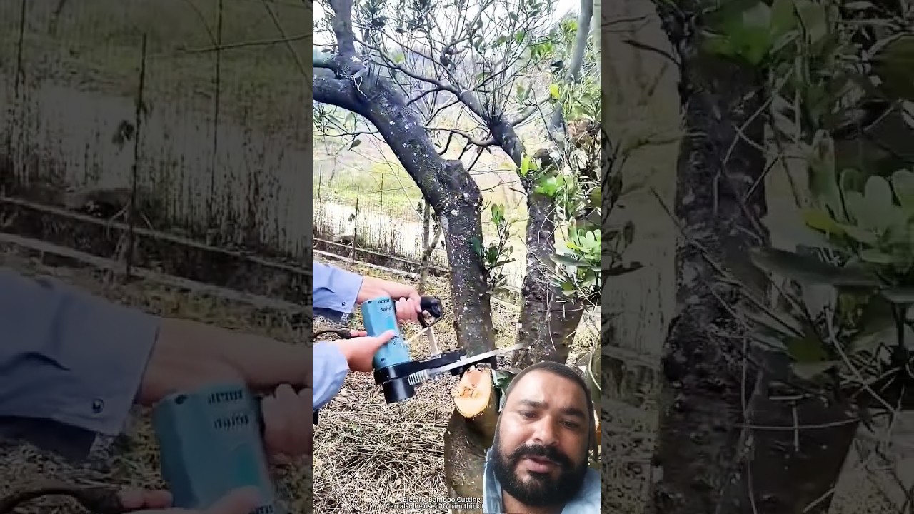 tree cutting k liye bust tool h ye 👌 