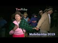 mollebamba toro velay 2019