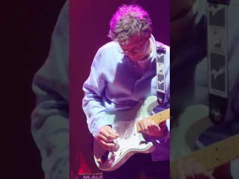 Steve Winwood Dear