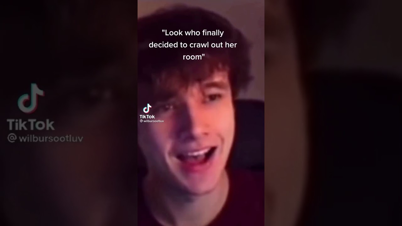 Mcyt tiktoks that said ¿me perdonas?