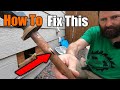 How To Replace A broken Hose Spigot | The Handyman |