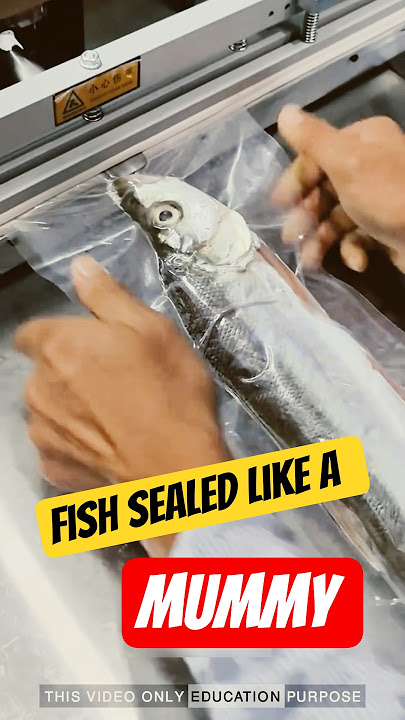 In Thailand, they don’t store fish... they mummify it! #fish #fishstore #viralvideo
