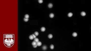 Waltz of the Charged Grains: Understanding Planetary Formation