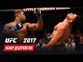 Обзор десятилетия UFC: 2017 год