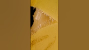 Banana Tearing Macro #satisfying #closeup #macro #asmr #satisfyingvideo