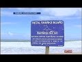 beaches reopen after lifting shark