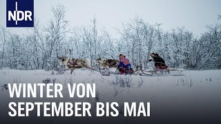 Wintersonne in Nordnorwegen | Ostseereport | NDR