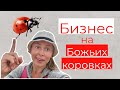 Железный порт / Набережная / Бизнес на божьих коровках