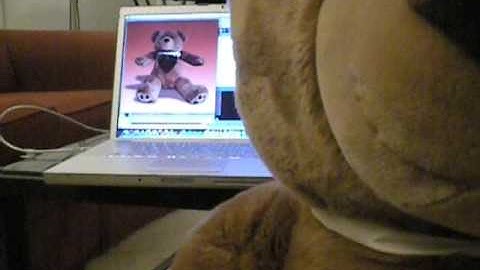 i262 Assignment 4 - Bear Hug