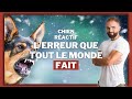 Chien ractif lerreur  pas faire 