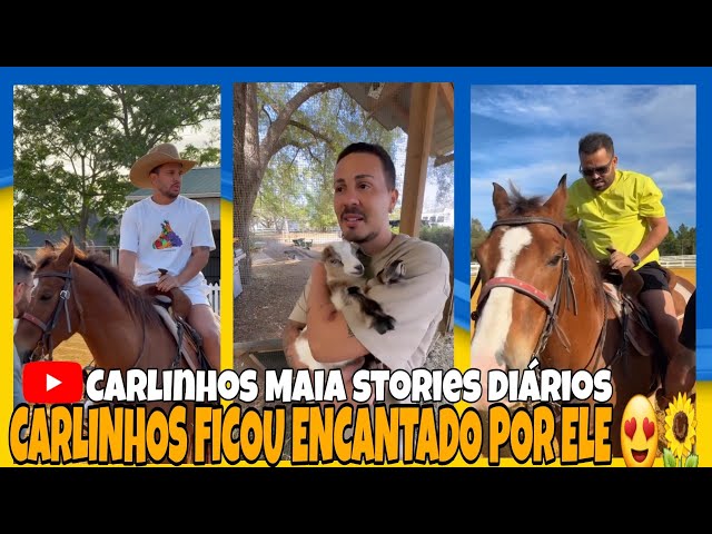 VI Feira do Cavalo da Maia