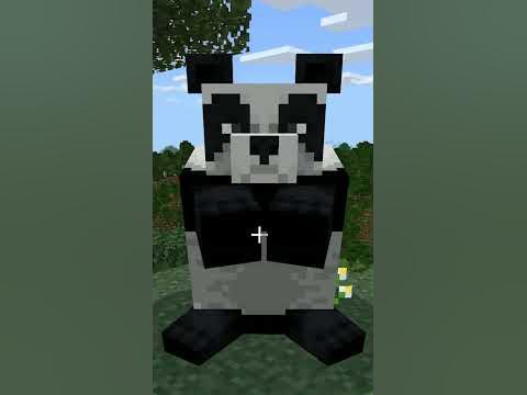 Как можно не любить панд в Майнкрафте? #minecraft #майнкрафт #панда # ...