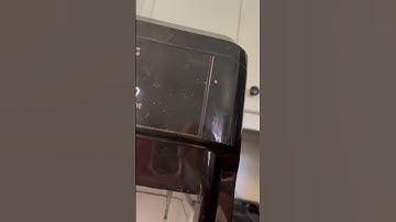 Frigidaire Nugget Ice Machine ( DO NOT BUY