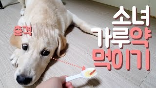 ENG SUB _ Sonyeo taking medicine  She is sick :(