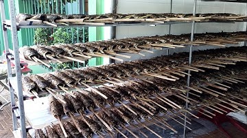 Cả ngàn con cá lóc nướng bán tít tắt trong ngày vía Thần Tài